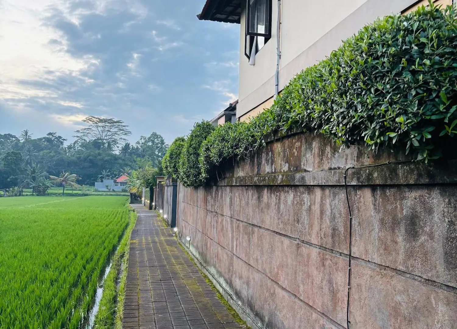 Uma Padi Villa Ubud  0*, Ubud (Bali) Indonesia