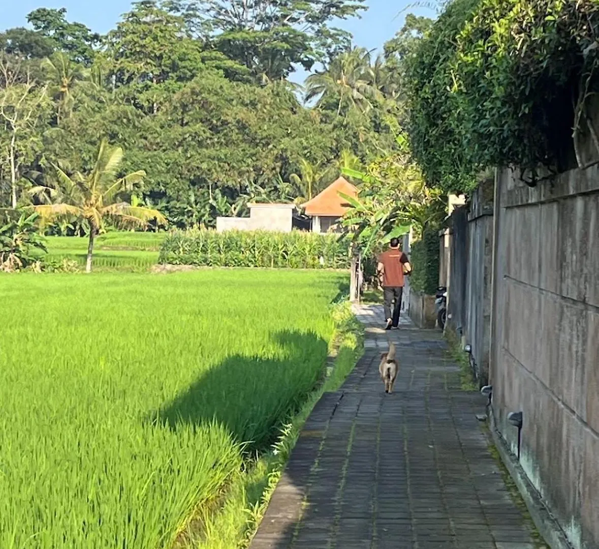 Uma Padi Villa Ubud