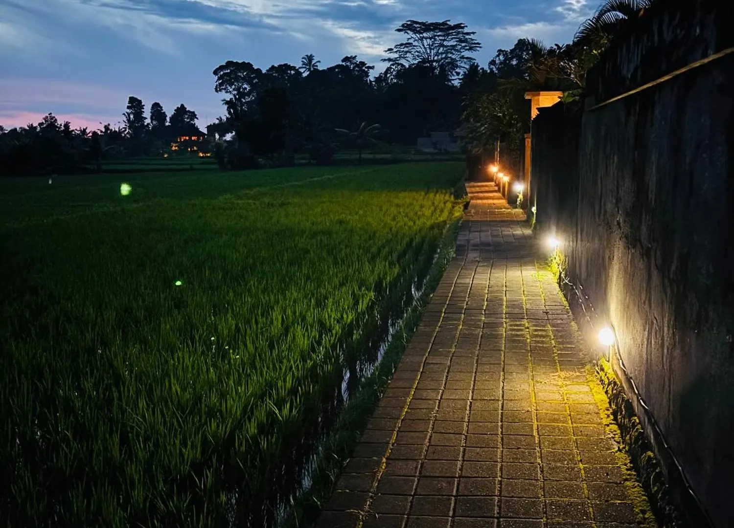 Uma Padi Villa Ubud
